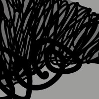 Arbre, de Montse Noguera